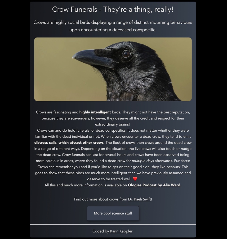 Screenshot of a box with a picture of a crow on top and information about crows at the bottom